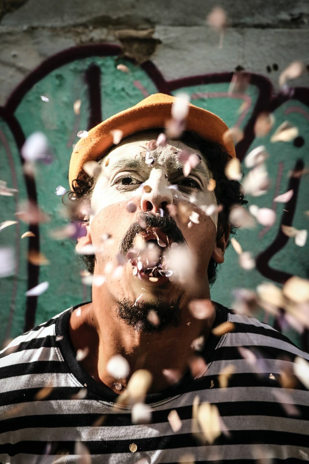 Foto Galeria de fotos | Carnaval de Mim - Imagem 50